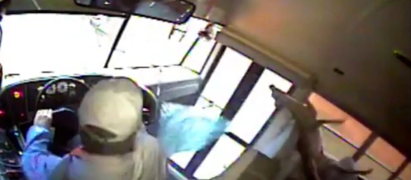 Βίντεο: Ελάφι πέφτει πάνω σε παρμπρίζ σχολικού και προσγειώνεται σε μαθητή που κοιμάται